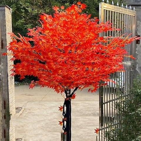 Artificial Maple Tree, Simulation Maple Tree, Fake Japanese Maple Tree, Red Maple Tree Outside Fall Decor, Artificial Tree for Indoor/Outdoor Modern Home Decor Scenery (1x0.5m) Cover