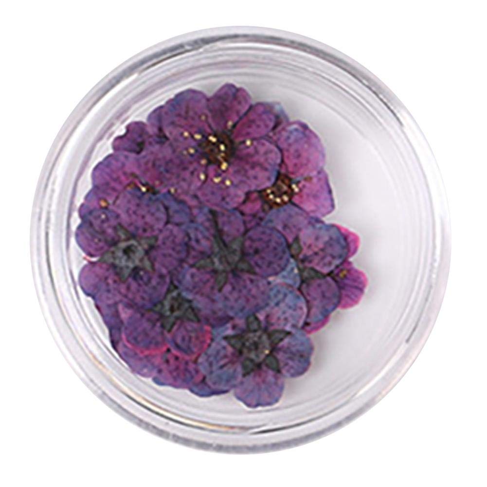 YuajaNail Art Dried Flower Sticker Flowers Dry Flower Nail