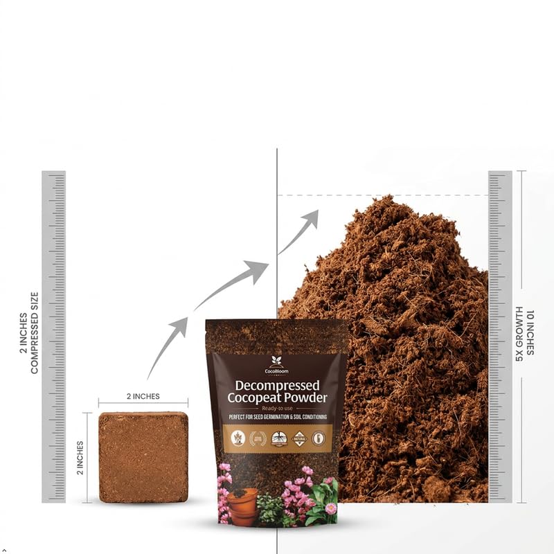Image of Cocobloom Finest Cocopeat Powder - Triple Washed Coconut Coir - Premium Organic Potting Medium - Perfect for Seed Germination-1Kg