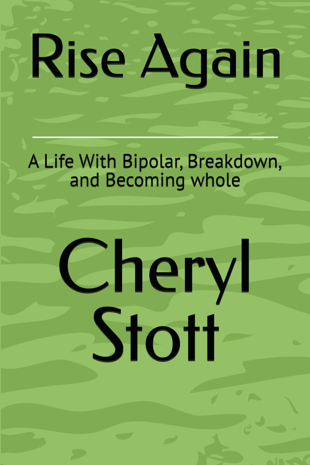 Rise Again: A Life With Bipolar, Breakdown, and Becoming whole
