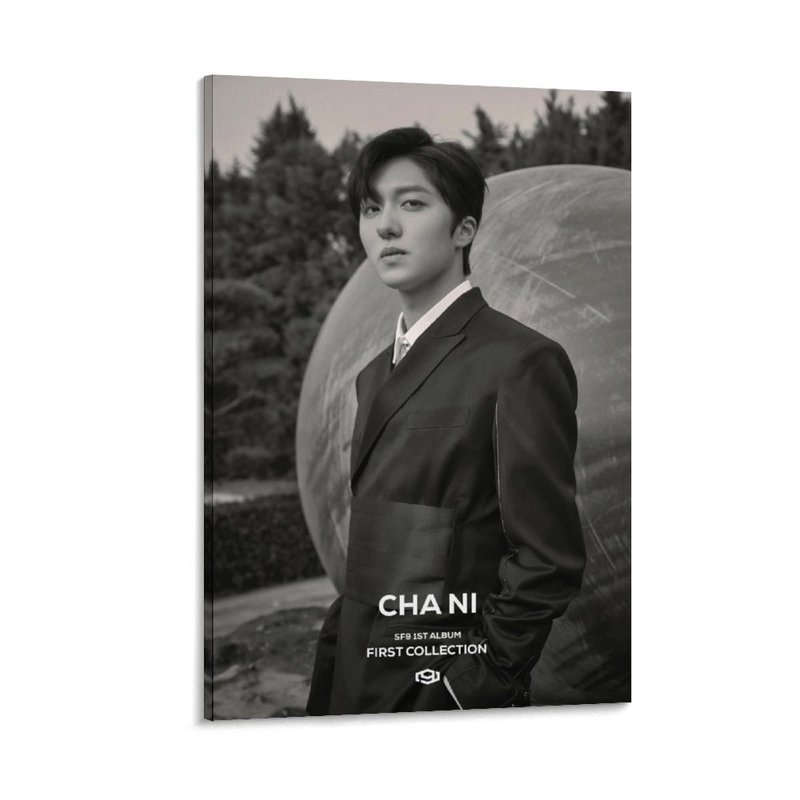 Chani SF9 『 First Collection 』Good Guy Ver.2 Concept Kpop Boy Group Band Idol Cover Art Retro Genre HD Print on Canvas Painting Wall Art for Living Room Decor Boy Gift 24x36inch(60x90cm)