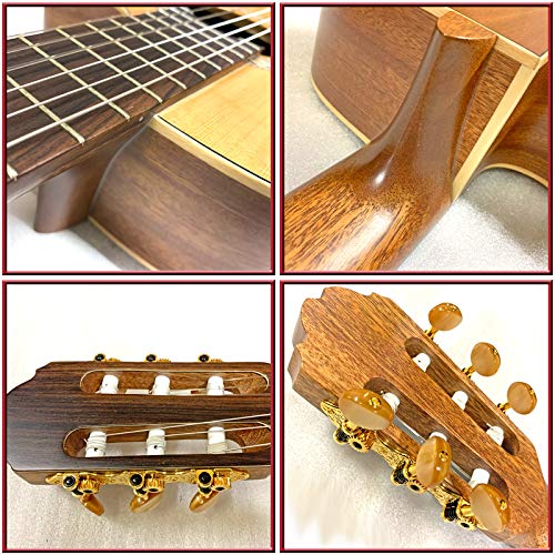 Amazon | Kremona Guitars SOFIA GUITAR S65CW 650mm クレモナ 