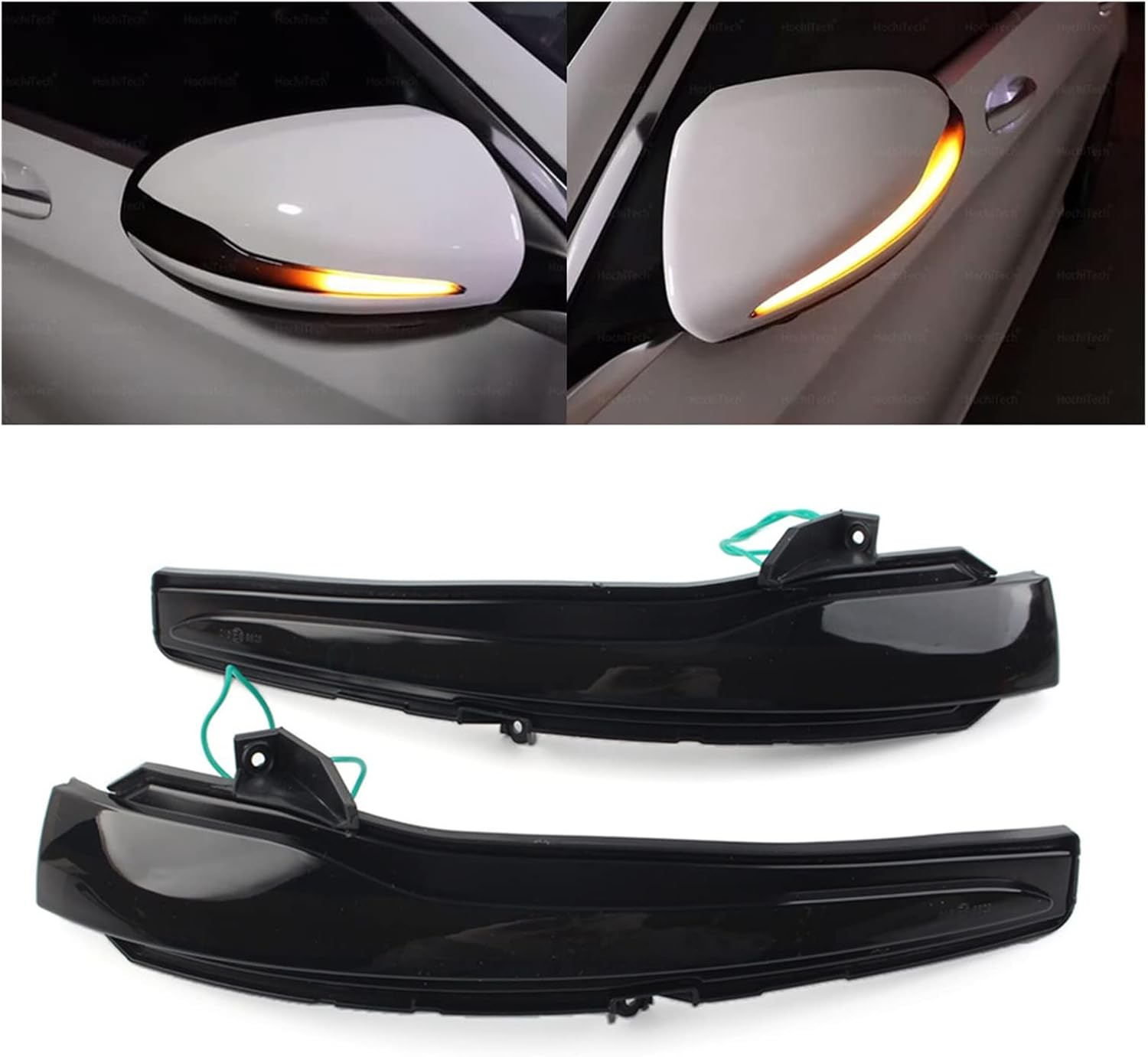 アガべチタノタ バトルウルフ【上澳園芸】タグ付き