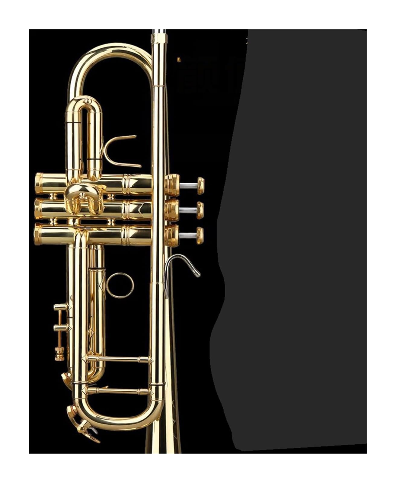 trąbka instrument Trąbka B Flat Instrument trąbkowy dla początkujących mosiądz TR501 Professional