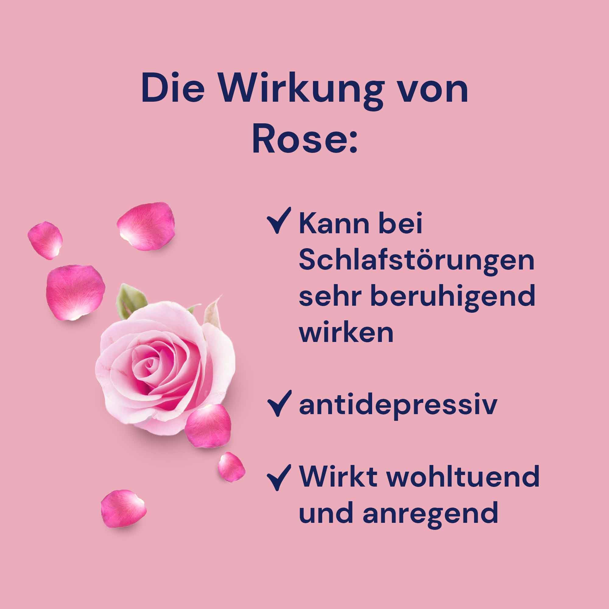 Spitzner Infusion pour sauna à la Rose floral-velouté 1000 ml – concentré naturel bien-être
