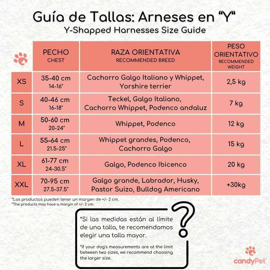 Arnés Reflectante Anti-Tirones en Forma "Y"- Ideal para Lebreles: Galgo Italiano, Whippet, Galgo, Podenco - Seguro, Transpirable y Duradero - Perfecto para Caminar, Entrenar y Correr - CELESTE, XXL