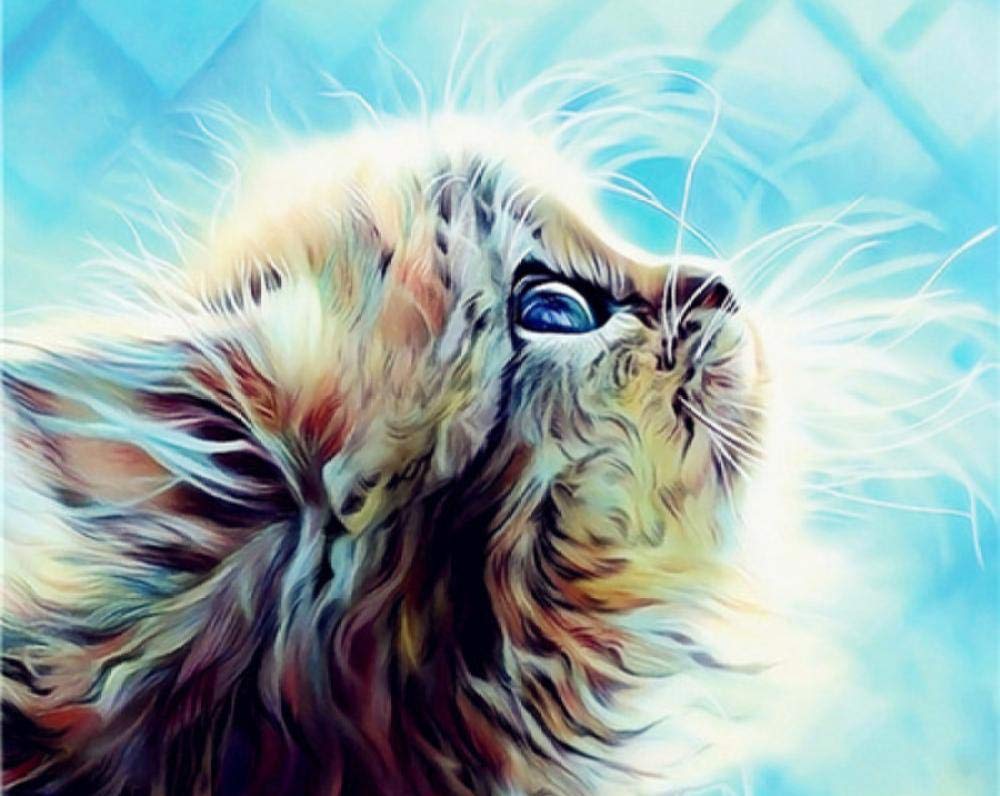 Peinture par numéro chat pour peindre sans savoir dessiner une toile de 40x50cm
