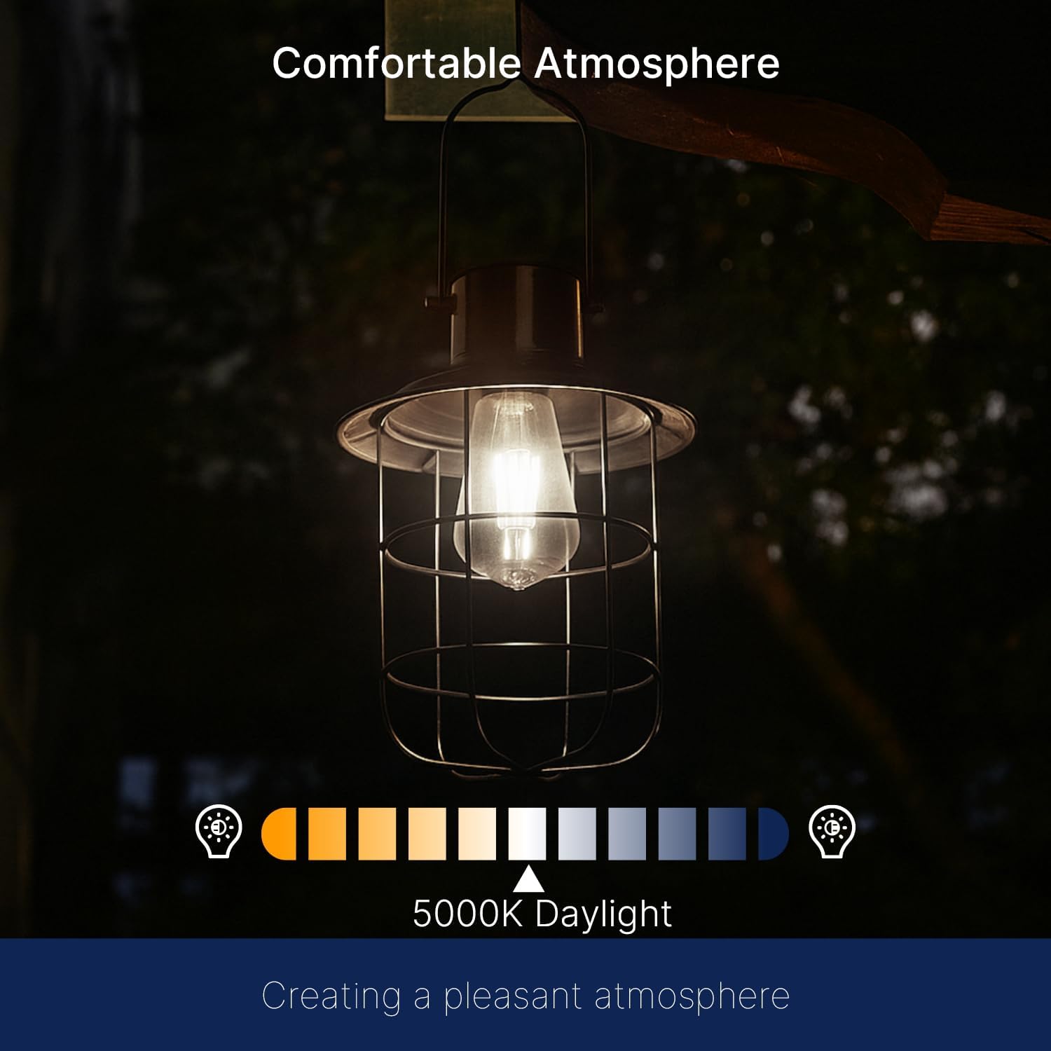 FLSNT Dusk to Dawn Outdoor Sensor ST19 LED Edison Bulb, 5000K Daylight, 7W (60W Eqv.), 800LM, Vintage Filament E26 Base, Auto On/Off Photocell Automatic for Energy-Efficient Outdoor Lighting, 8 Pack