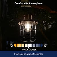 Vista 6 de FLSNT Dusk to Dawn Outdoor Sensor ST19 LED Edison Bulb, 5000K Daylight, 7W (60W Eqv.), 800LM,Vintage Filament E26 Base, Auto On/Off Photocell 60w