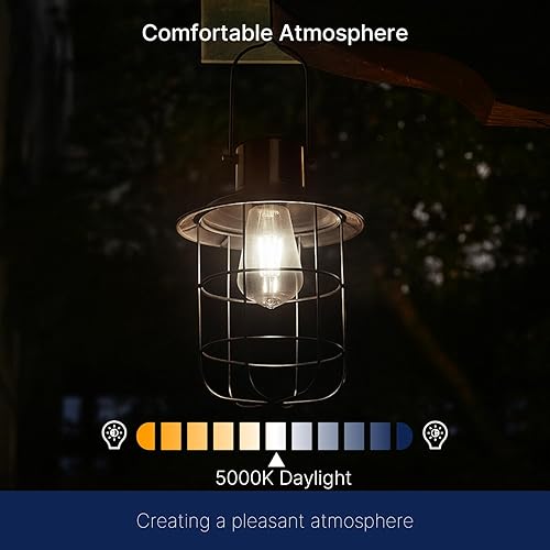 Miniatura 6 de FLSNT Bombilla LED Edison ST19 con sensor de atardecer a amanecer, luz diurna de 5000 K, 7 W (60 W equivalente), 800 lúmenes, base de filamento