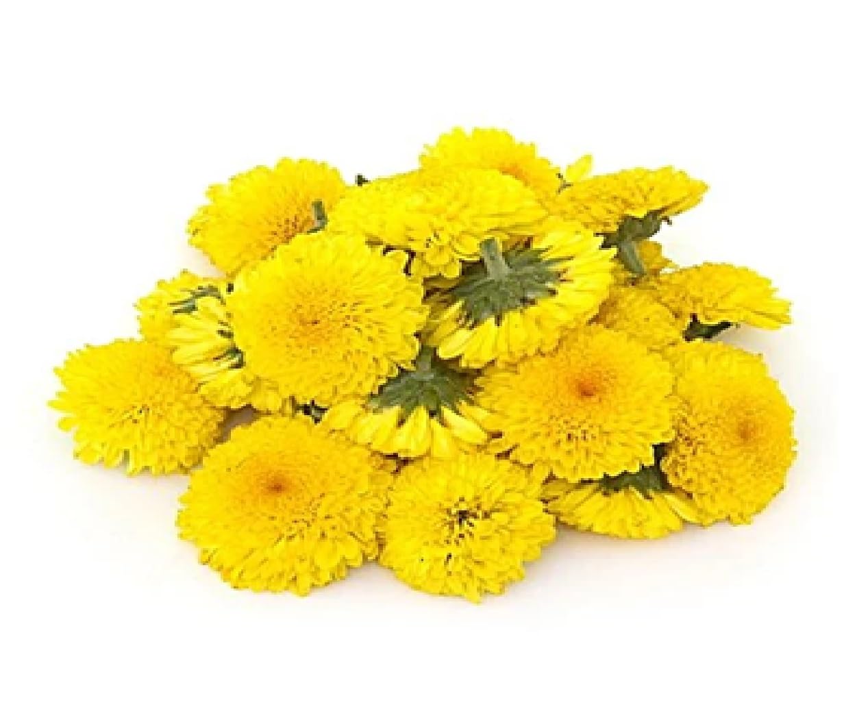 Fresh Chrysanthemum/Shevanti Flower Yellow, 100 g image 5