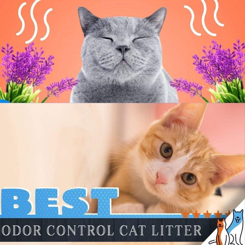 Sanicat Arena para gatos ultra agachada, 3 x 10 l, natural fuerte, desodorante sin polvo, aroma fresco agradable de Babypowder