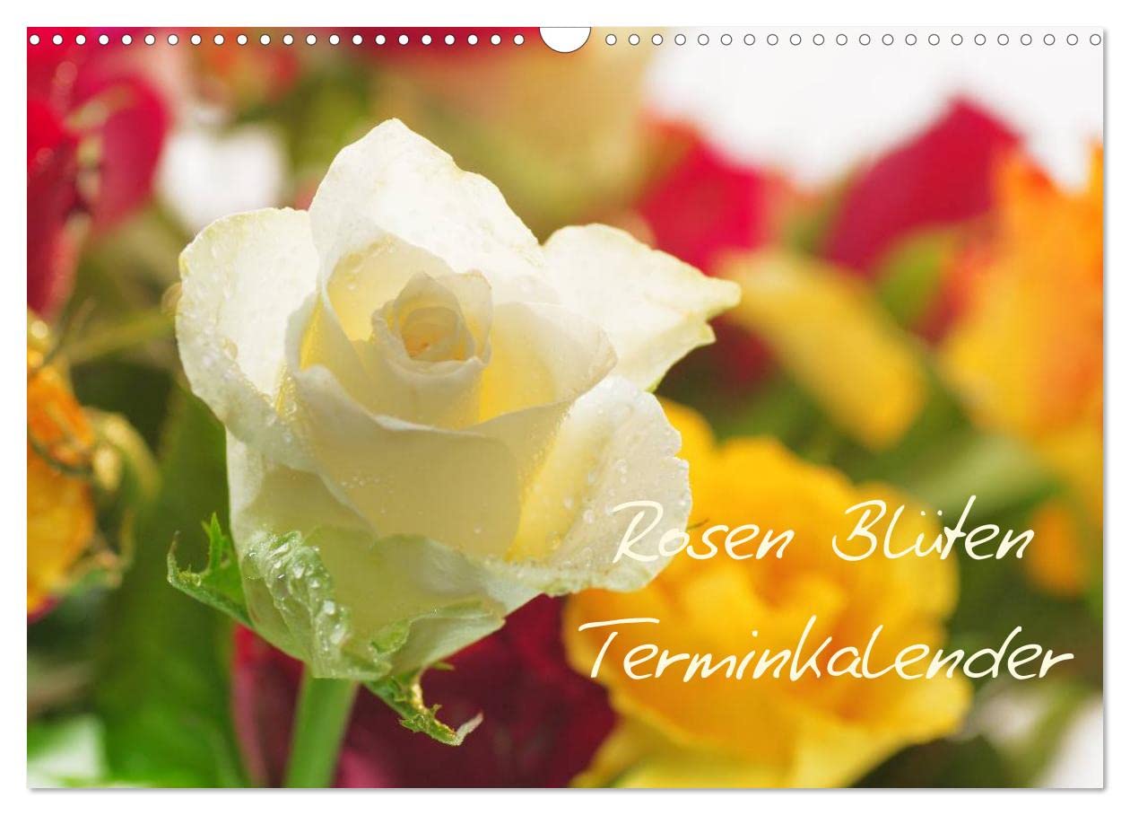 Rosen Blüten Terminkalender (Wandkalender 2025 DIN A3 quer), CALVENDO Monatskalender: Ein Terminkalender in dem die Schönheit und die Vielfältigkeit der Rosen zu sehen ist (CALVENDO Natur)