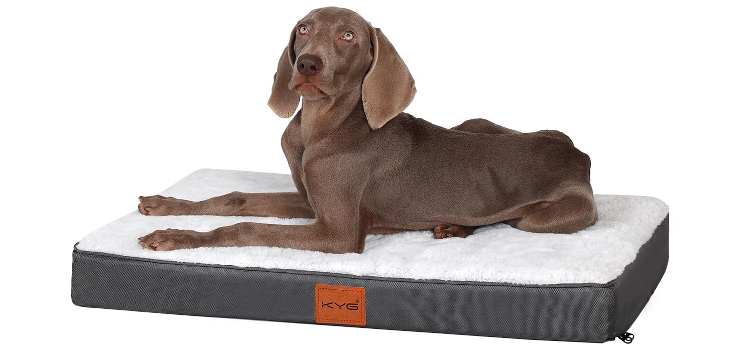 KYG Cojín Grande para Perro, Cama para Perro, Cama para Perro Interior de Espuma de Huevo, Colchón para Perro con Forro Impermeable, Estera para Eerros Extraíble y Lavable, Gris, 76 * 50 * 7.5cm