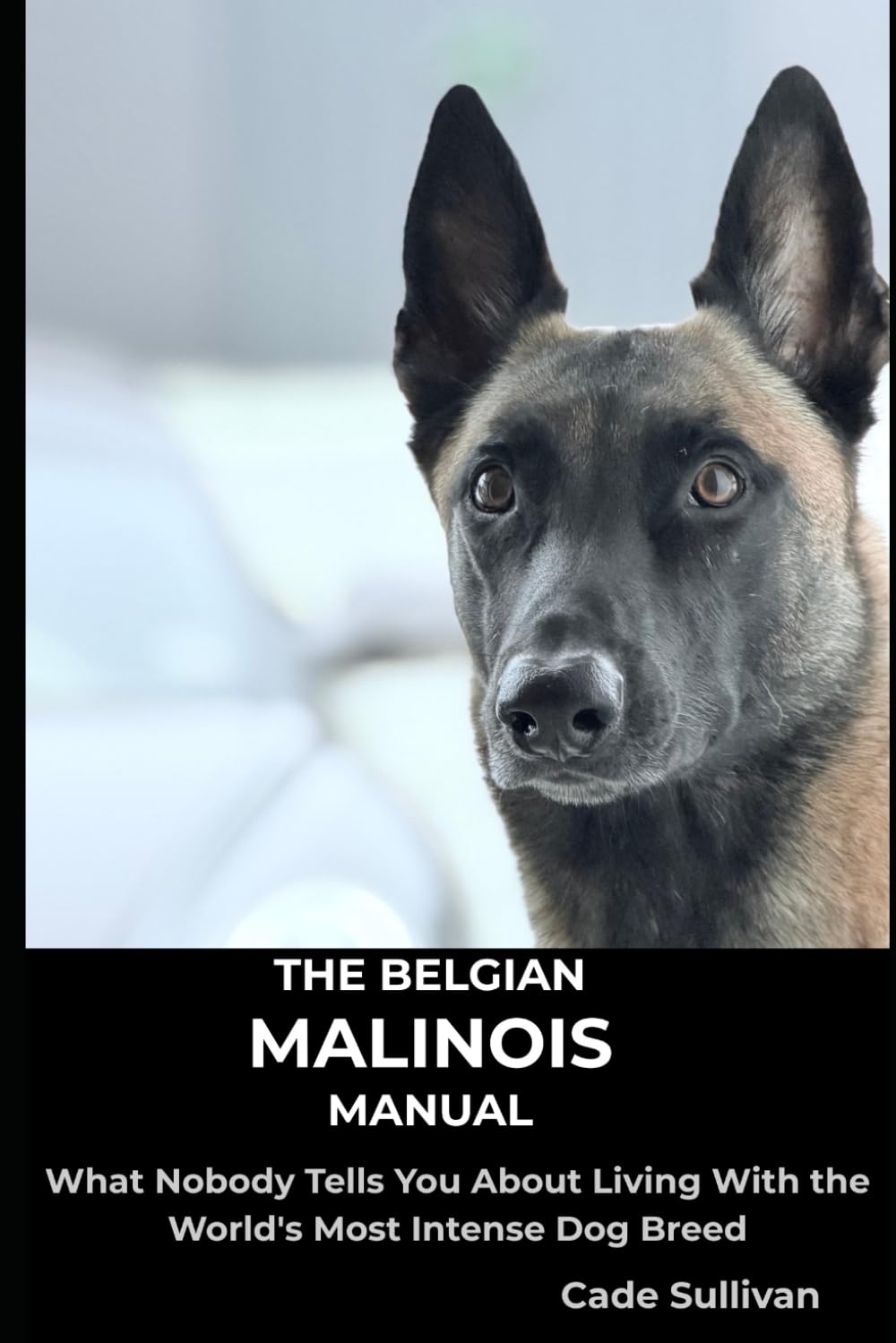 The Belgian Malinois Manual: What Nobody Tells You About Living With the World's Most Intense Dog Breed