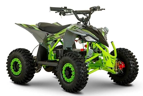 Roan-Ratte Mini quad elettrico 1200 48V, Verde