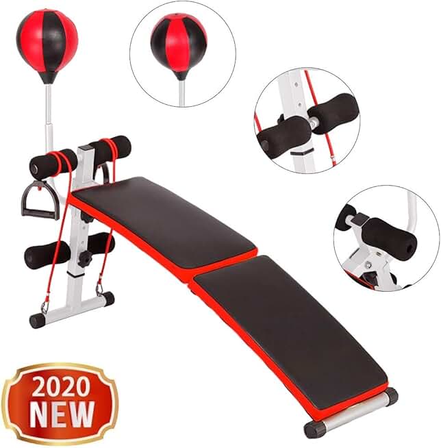 reverse sit up bench