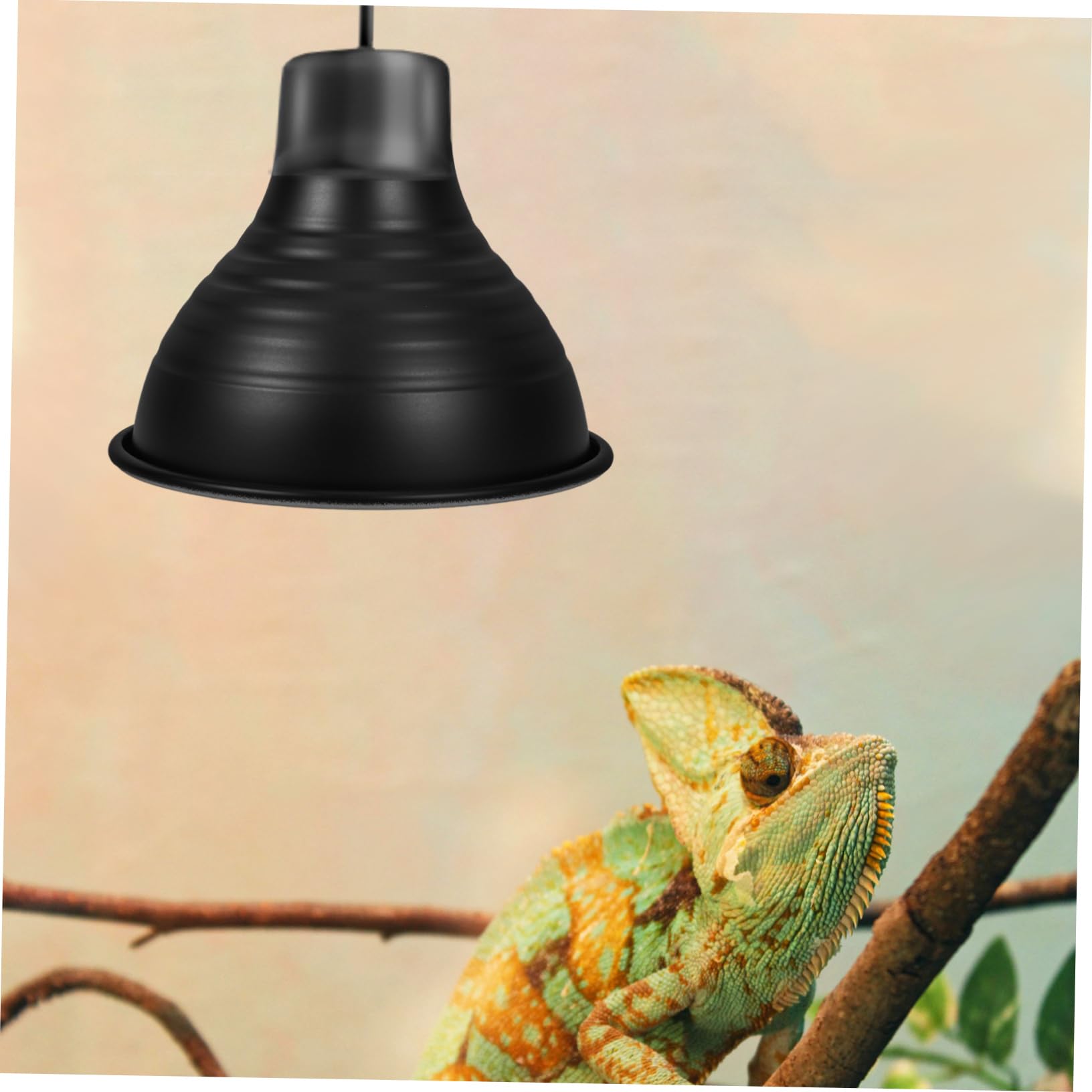 Cabilock 4 Piezas luminarias para reptiles calentador reptiles Accesorios de iluminación para reptiles protector de lámpara de calor para reptiles cúpula de lámpara de reptil planchar