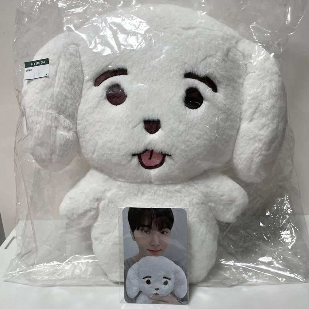 ポップアップ sf9 ジェユン JAENG109 グッズ特典フォトカード Amazon.co.jp: 韓国限定 SF9 ジェユン JAENG109 ポップアップ
