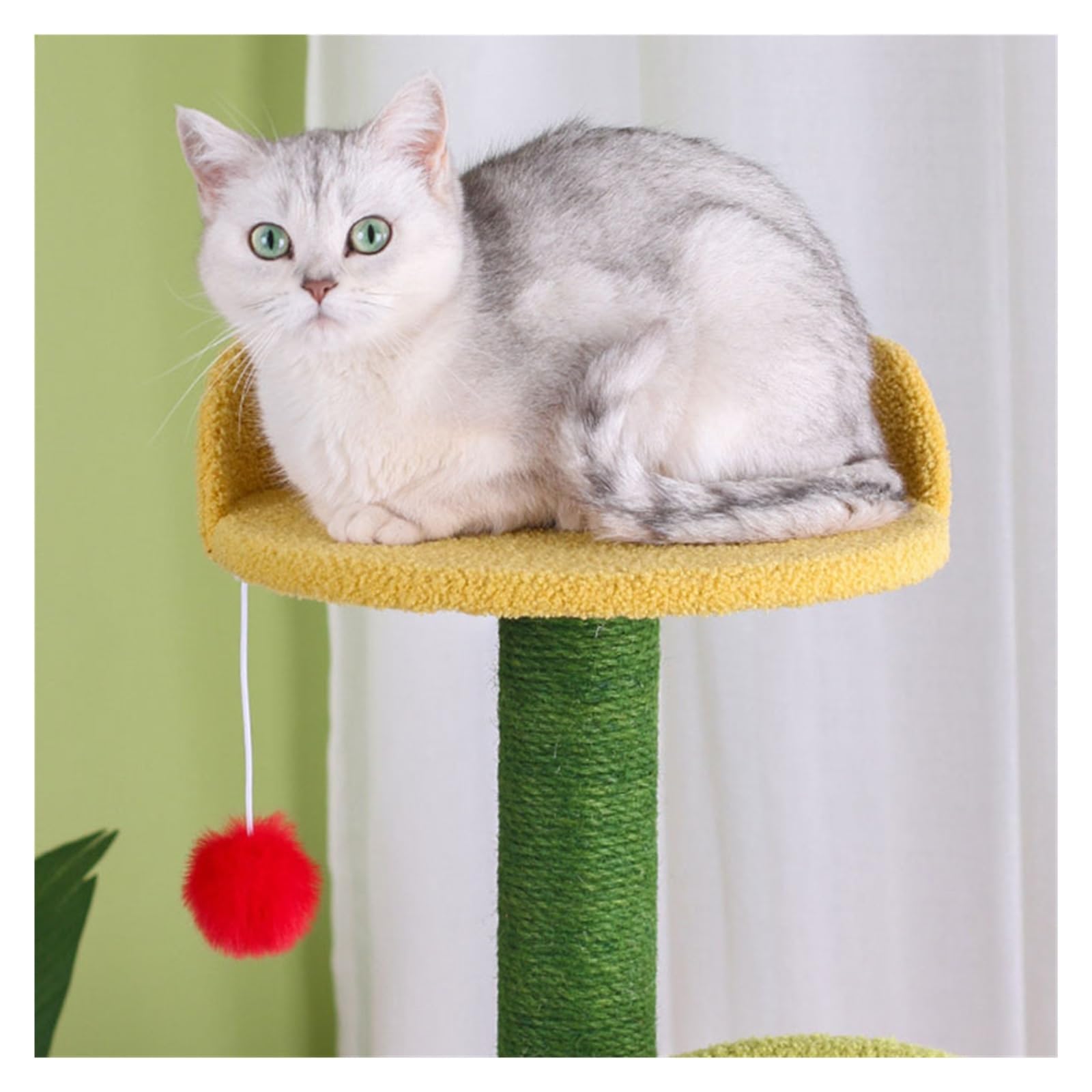 Marco De Escalada For Gatos, Arena For, Árbol For, Un Rascador For Sisal, Suministros For La Familia Varios, Juguetes Estable
