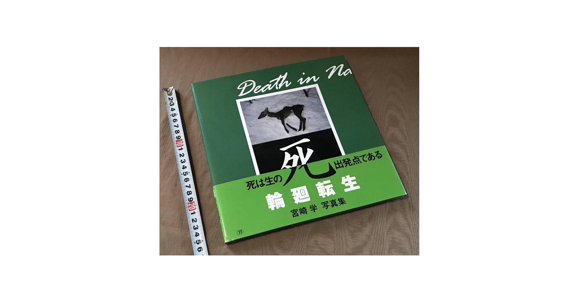 死　宮崎学 写真集 死 : 宮崎学写真集(宮崎学 著) / かもがわ書店 / 古本、中古本