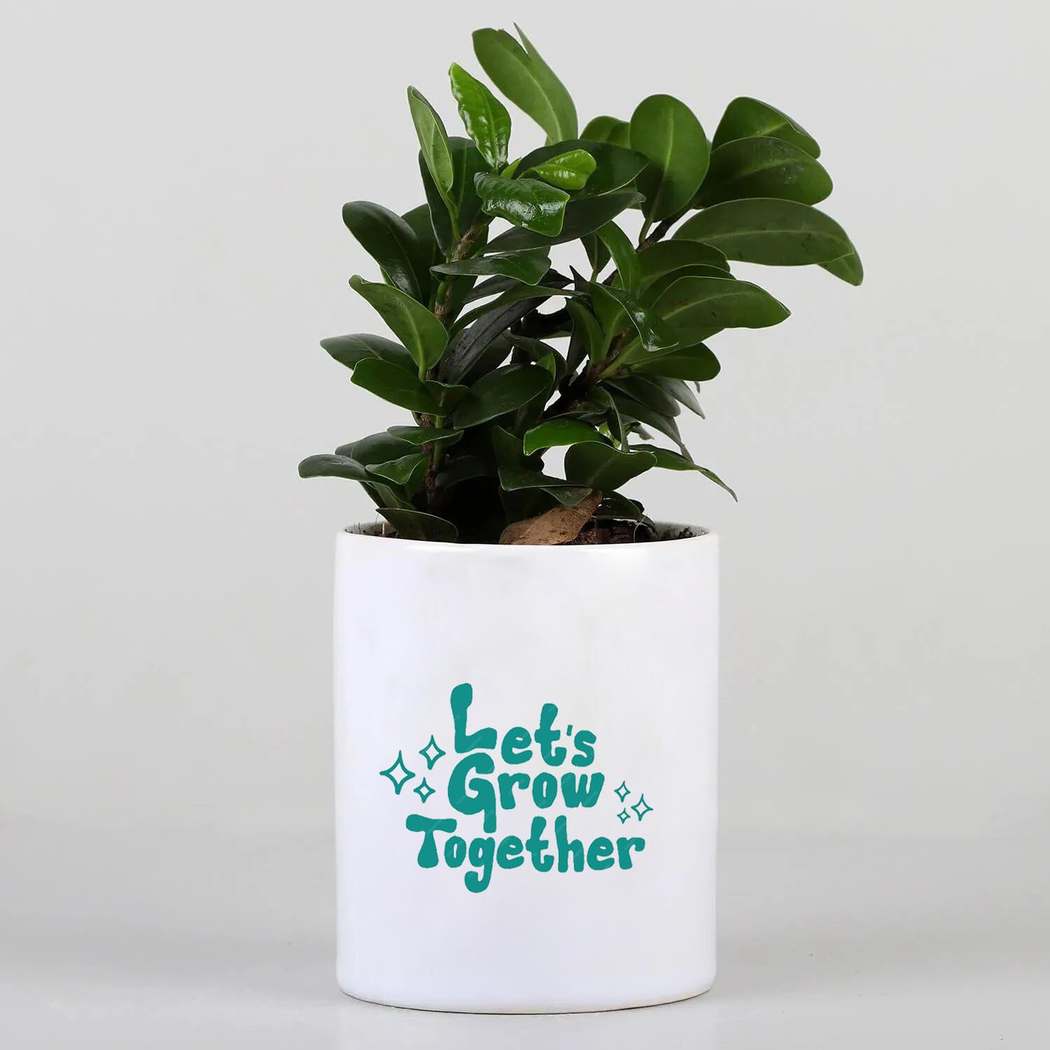 See full amazon price history chart for Vibrant Green Ficus Compacta In Lets Grow Together Printed Ceramic Pot | Indoor Plant | Home Décor |Gifts|Airpurifying Plant Vibrant Green Ficus Compacta In Lets Grow Together Printed Ceramic Pot | Indoor Plant | Home Décor |Gifts|Airpurifying Plant (B0DGFFW4Z1) Amazon Price History, Amazon Price Tracker