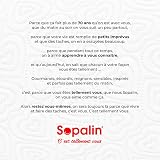 Sopalin Kitchen Roll, 3 = 6 Rolls, Decorated - 6