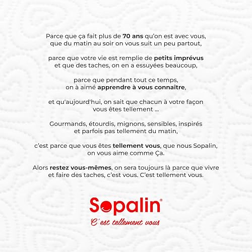 Sopalin Kitchen Roll, 3 = 6 Rolls, Decorated - 6