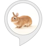 たいすけ先生の辛口タロット占い