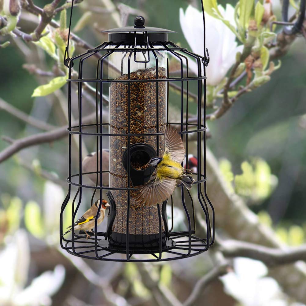 FORUP Caged Tube Feeder, Squirrel Proof Wild Bird Feeder, Outdoor