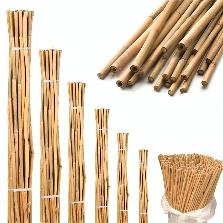 2FT 3FT 4FT 5FT 6FT 7FT Bamboo Garden Canes Heavy Duty Plant Flower Vegetable Support Strong Professional Garden Stakes Thick Cane Sticks (4FT, 20)