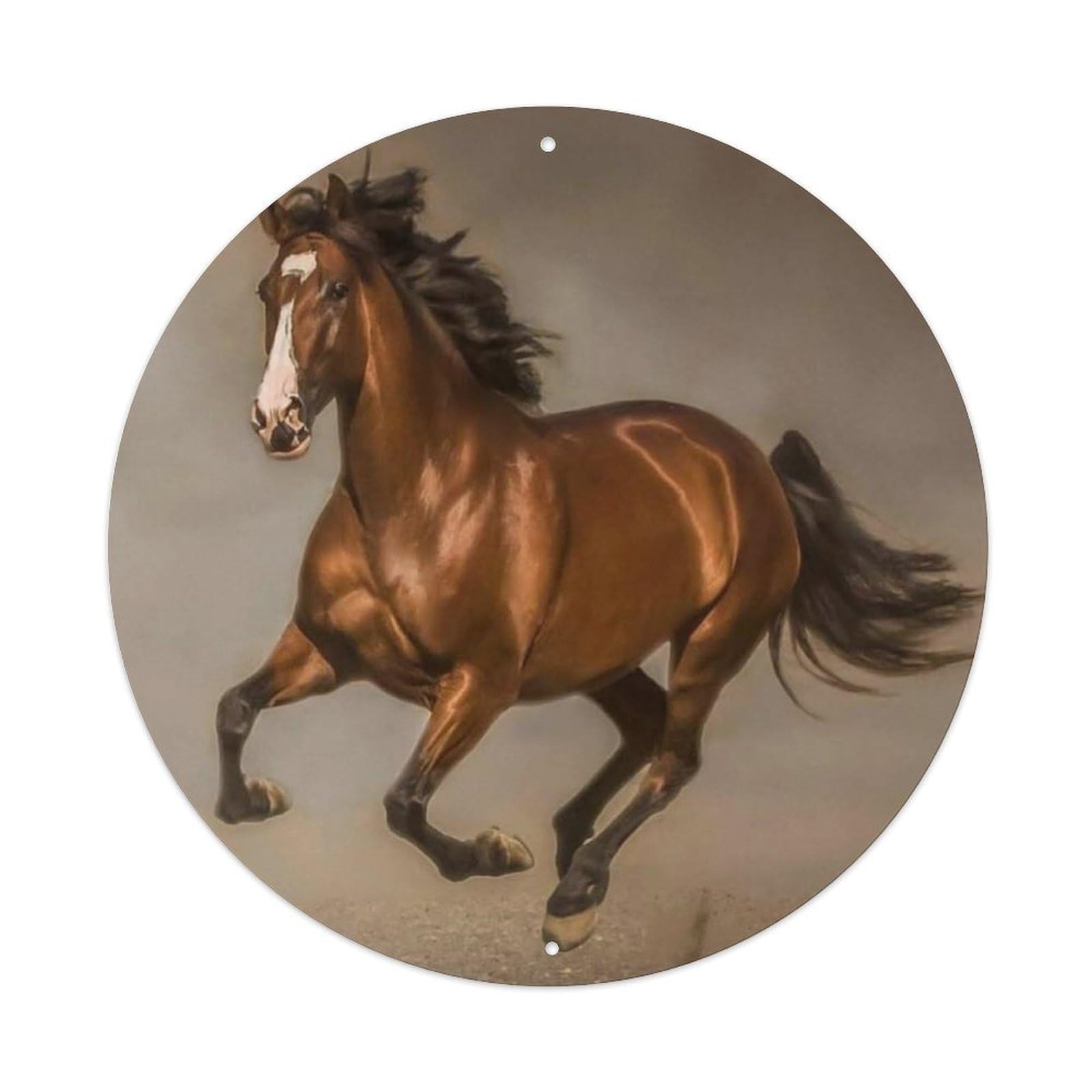Animal Artwork Galloping Horse Vintage Metal Tin Sign Plaque Wall Decor for Cafe, Club Bar, Office, Garden Metal Poster 8x8Inch