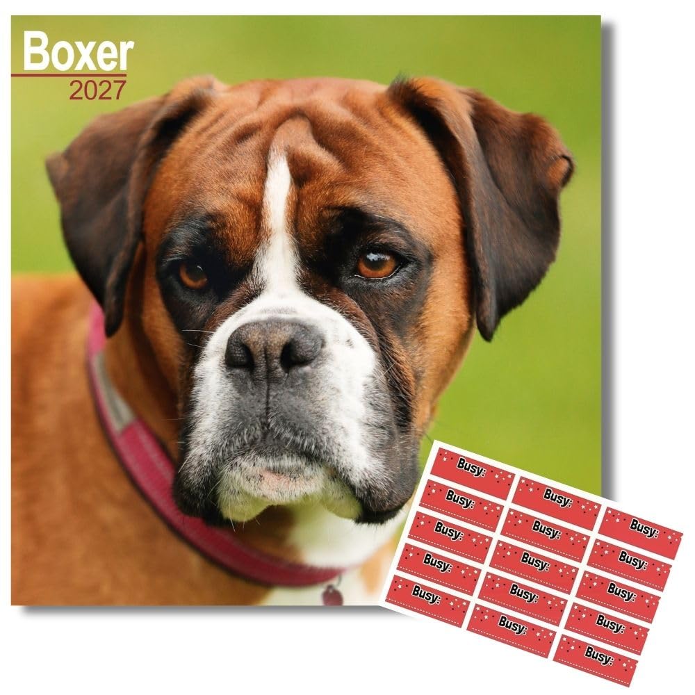 Avonside Boxer 2027 Calendar with Organisational Stickers, 16 Month Square Wall Calendar (Sept 2026 - Dec 2027), UK Planner with Boxer Dogs, For Dog Lovers, Home or Office, 11.6 x 11.6 in