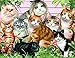 Produktbild Fipart 5D DIY Diamant-Malerei Kreuzstich Bastelset,Wohnzimmerwandaufkleber Dekor, Katze(12X16inch/30X40CM)