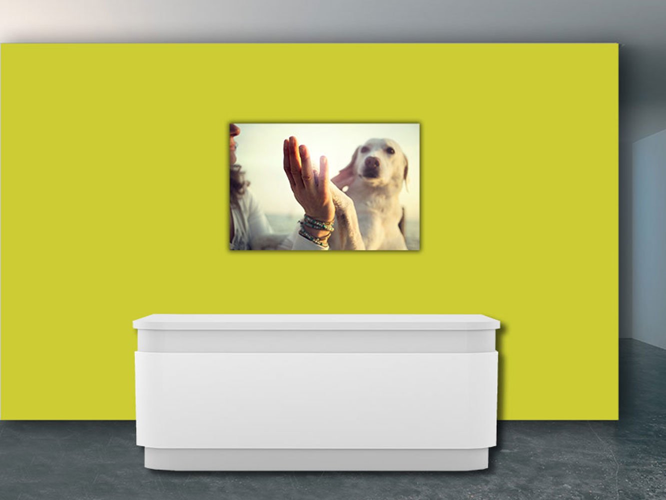 Carta da parati vinile e carta parati parete cane Saluto | da pareti | Adesivo | | carta da parati | varie misure | Veterinarios | decorazione ordine, Barbieri, stanze... 350x250cm