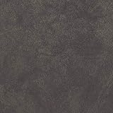 サンゲツ リアテック 粘着フィルム カッティング用シート DIY STUCCO アーススタッコ TU-5194 【長さ1m×注文数】 巾1220mm