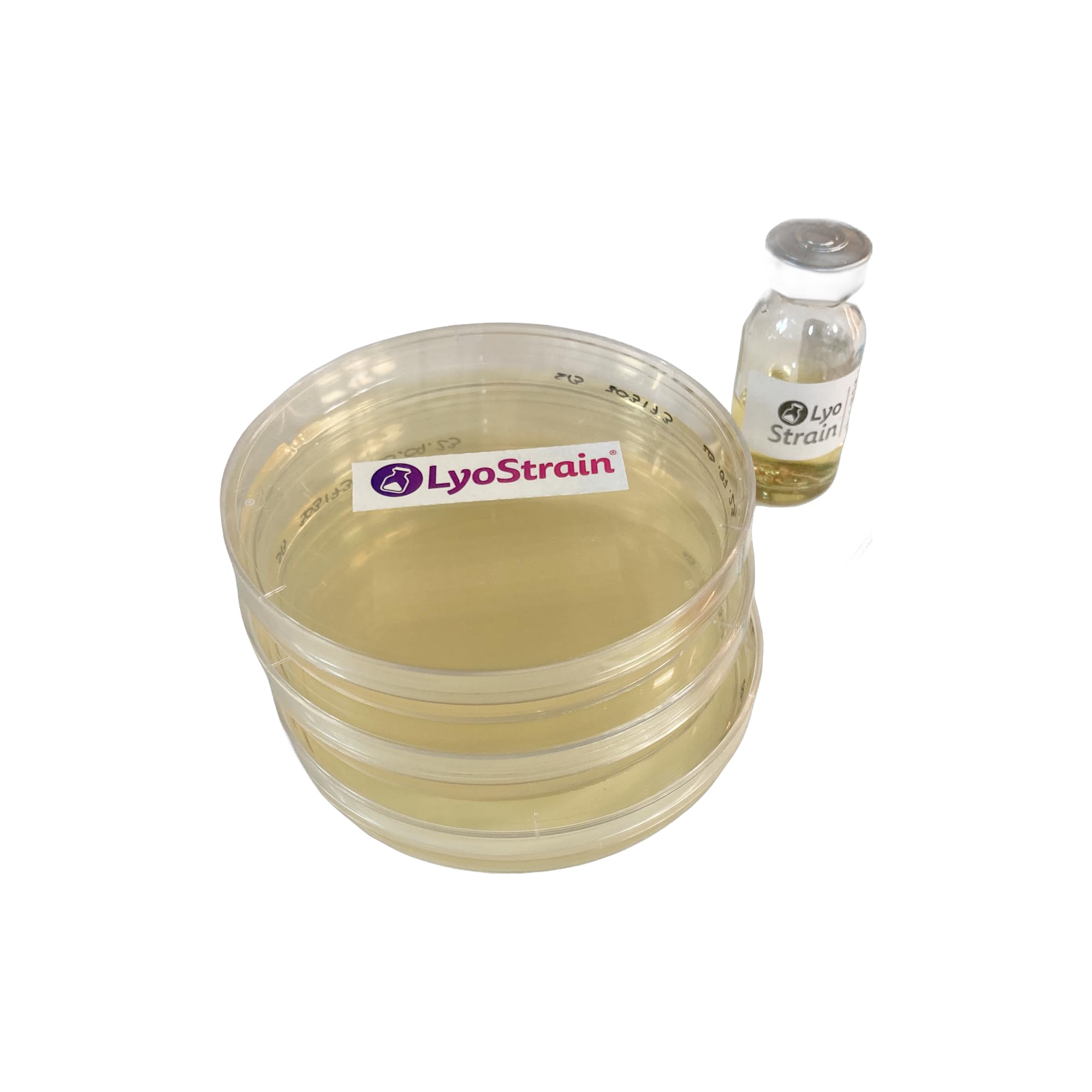 PLACAS AGAR TSA CRECIMIENTO GENERAL BACTERIAS - 20 PLACAS PETRI CON AGAR - MEDIO CULTIVO MICROBIOLOGICO