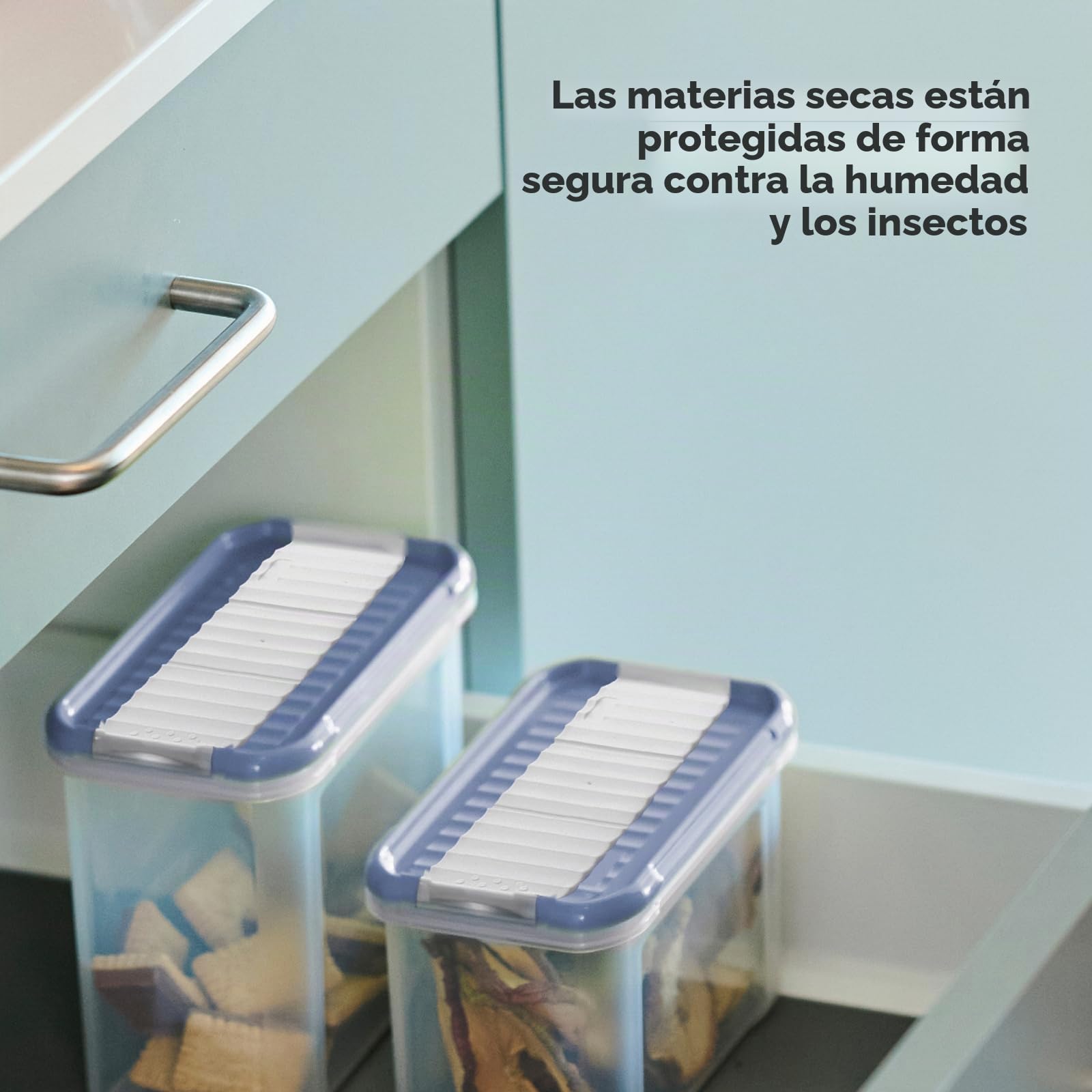 Rotho DOMINO - Juego de 24 tarros con tapa abatible hermética, color azul