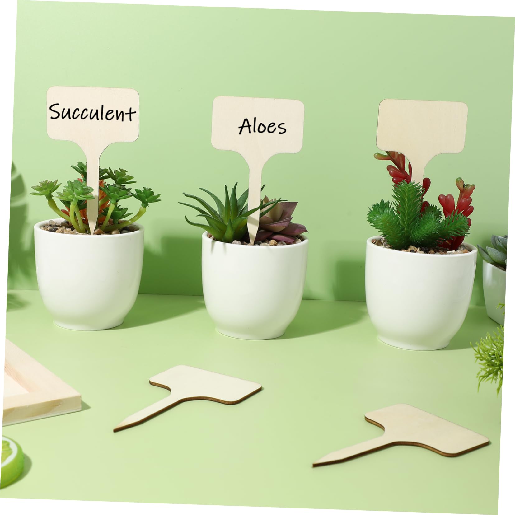 BESPORTBLE Lot De 5 Étiquettes De Jardin En Bois Pour Plantes Marqueurs De Plantes Lisses Et Polyvalents Pour Plantes Dintérieur Et Dextérieur 50 Pièces X 5