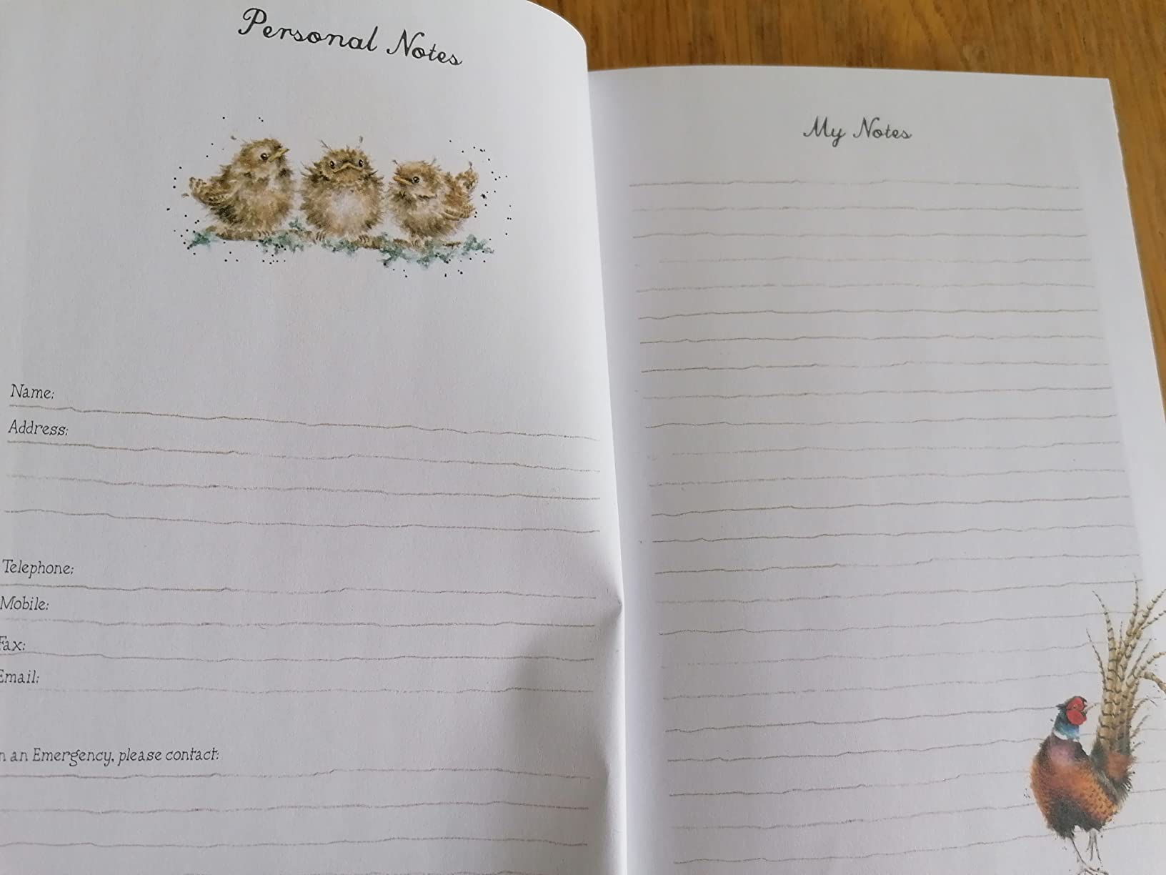 Wrendale Designs by Hannah Dale Piggy in The Middle Illustrated