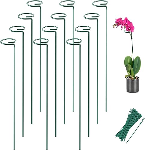 Joyhalo Paquete de 12 estacas para plantas, estacas de soporte para plantas de 16 pulgadas, soporte de palos para plantas con 24 lazos giratorios,