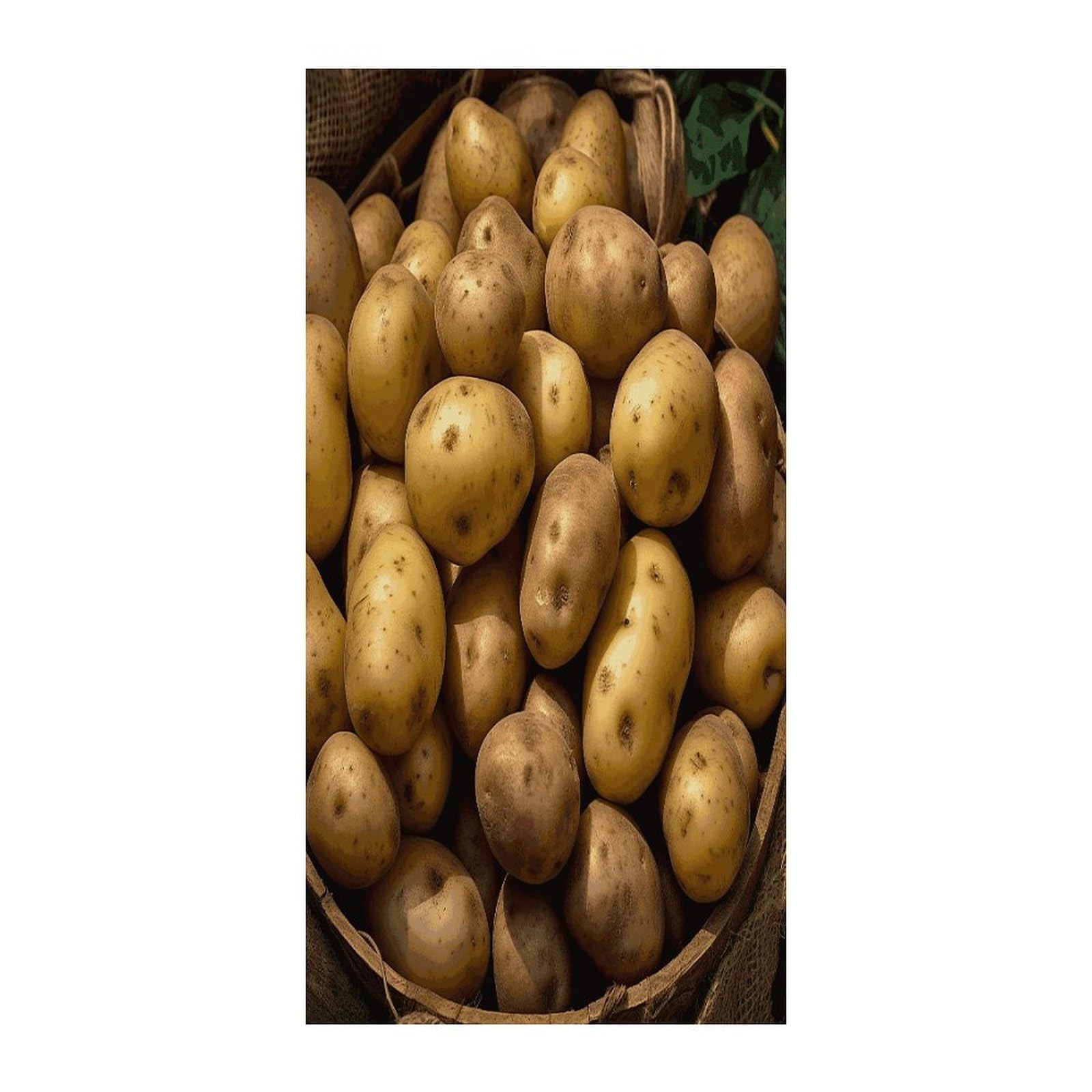 Fekiloot Style Garden Potatoes Door Curtain Room Divider Curtains