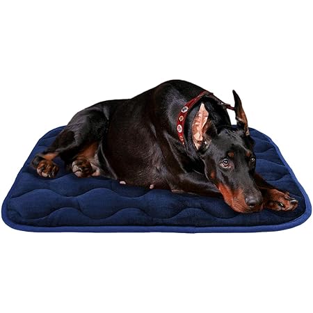 mini dog mattress