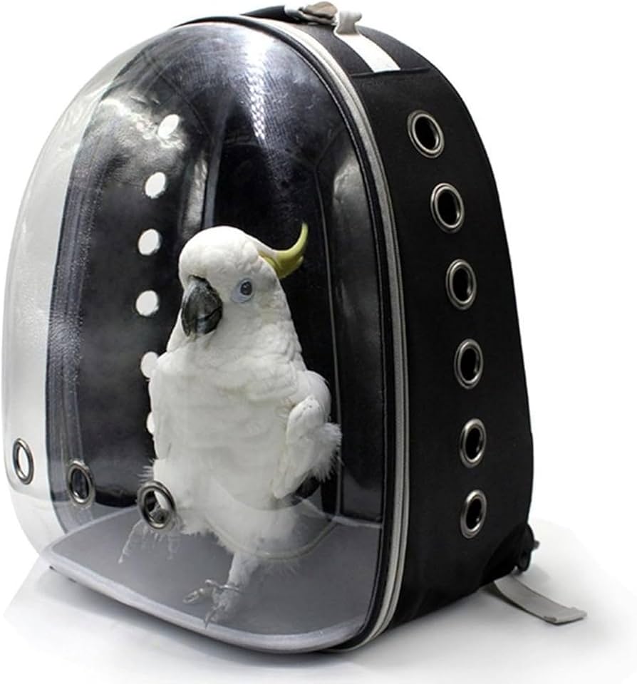 ☆Lu☆プロフ必読☆様 鳥かごキャリーバッグ 【公式通販】