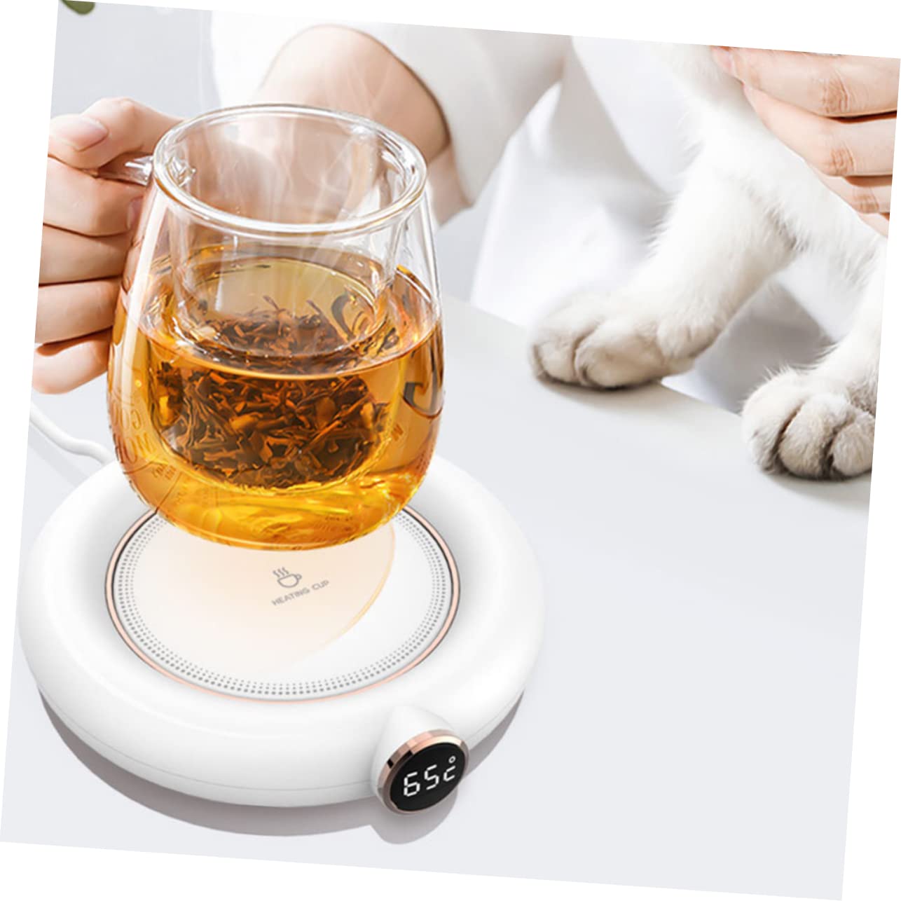 Posavasos Calentador de Tazas USB 5v 10w, Plástico Blanco | Niveles Múltiples 55℃-65℃-75℃, Apagado Temporizador 8h, Diseño Compacto para Casa y Oficina