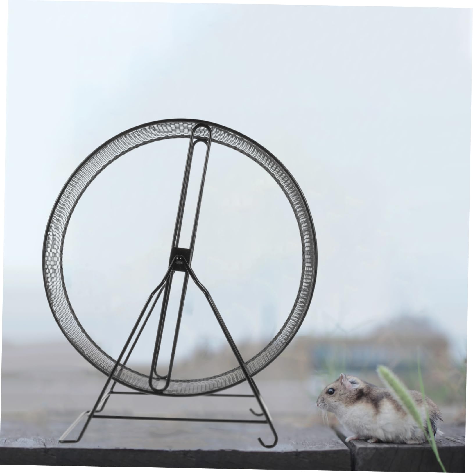 HANABASS Iron Material Hamster Wheel Silent Running Wheel Toy Exercise for Small Pets 36 Diameter