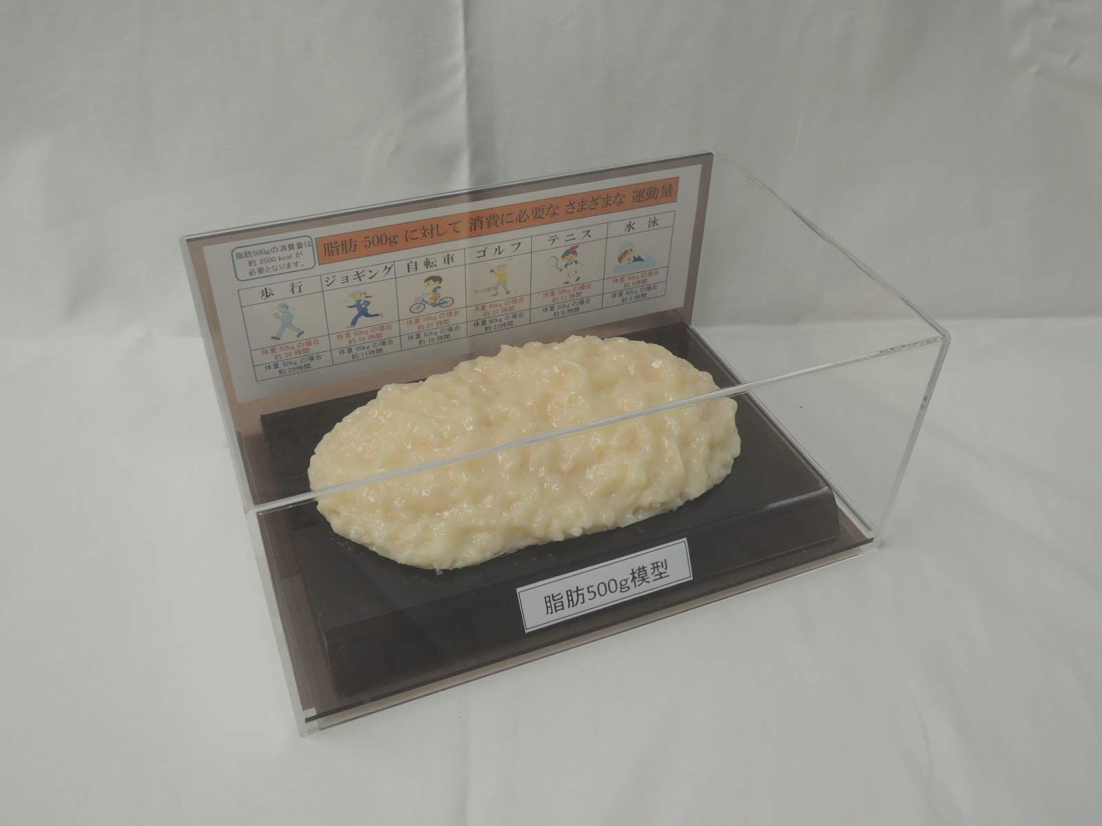Amazon.co.jp: 脂肪模型 フィギアケース入 500g ダイエット 健康