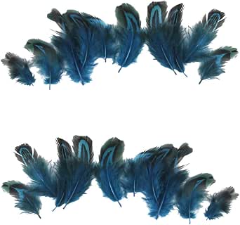 Plumes Autruche Naturelles Dorées - Lot De 50, 35-40cm, Décoration Mariage Et Maison