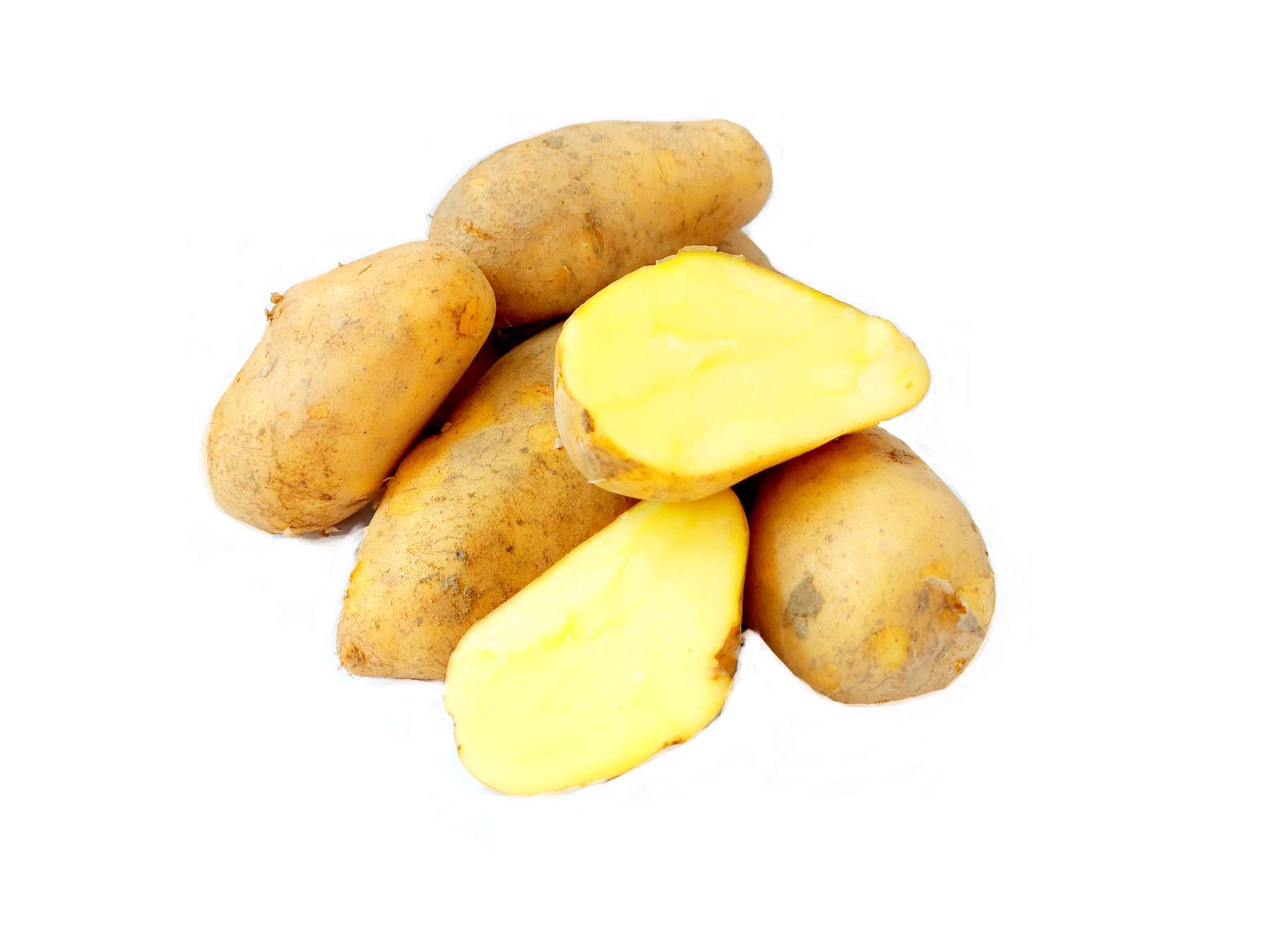Frische Sieglinde festkochende Speisekartoffeln Kartoffel 10 KG Ernte 2025 aus Bayern festkochend Salatkartoffel zum Grillen für Kartoffelsalat Pellkartoffeln Bratkartoffeln Pommes Frites