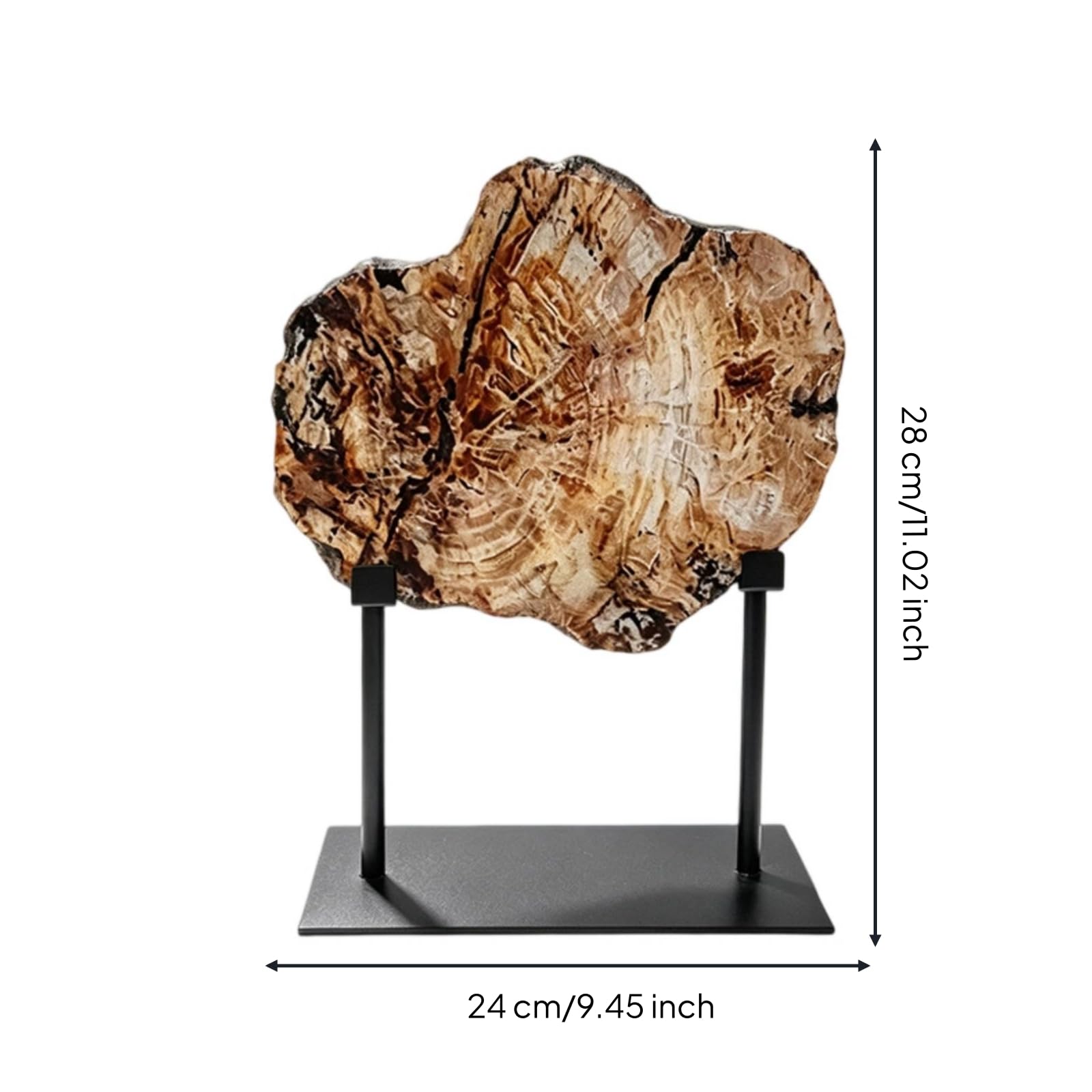Colcolo Simulador de Fósil Decorativo Escultura en Resina Arte de Madera Petrificada Figura con Doble Soporte Metálico Apariencia Auténtica y Robusta Adecuado